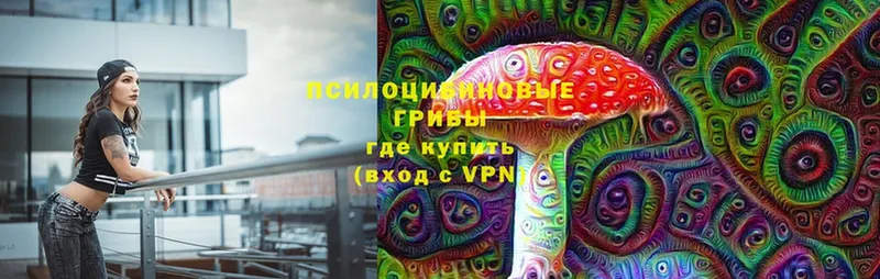 купить   Усть-Катав  Псилоцибиновые грибы Cubensis 